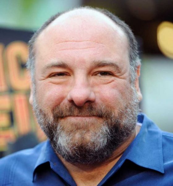 Moviecrazy - James Gandolfini