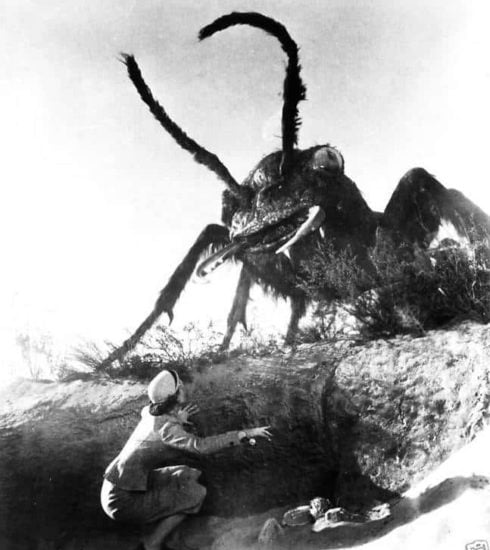 Them - La humanidad en peligro 1954
